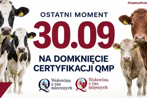 Certyfikat QMP — dziś mija termin dla rolników. Bez niego dopłaty przepadną