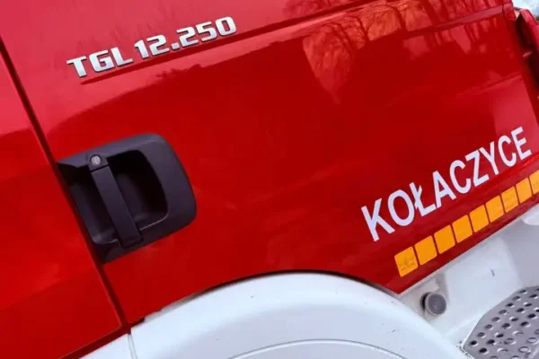Zderzenie samochodu ze zwierzęciem w Kołaczycach – interwencja służb