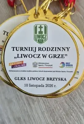 Piknik „Liwocz w grze” w Brzysce – sport, zabawa i integracja mieszkańców