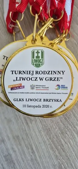 Piknik „Liwocz w grze” w Brzysce – sport, zabawa i integracja mieszkańców