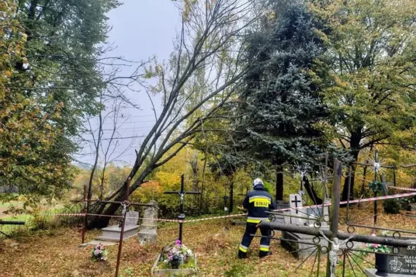 Pochylone drzewo nad cmentarzem w Sieklówce — interwencja OSP Kołaczyce