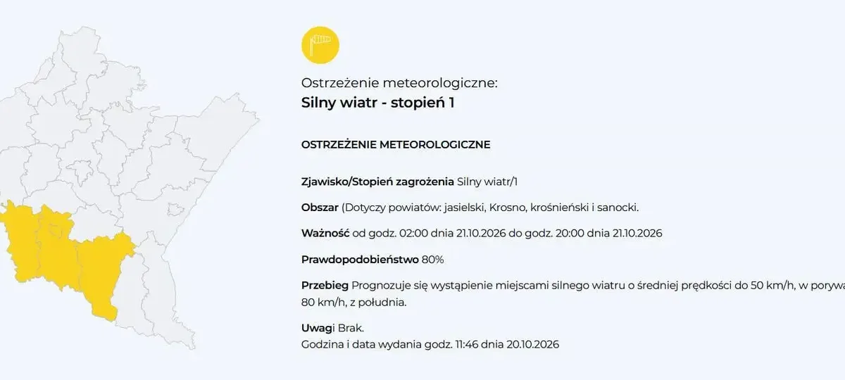 Silny wiatr nad Podkarpaciem – ostrzeżenie IMGW do godz. 20:00