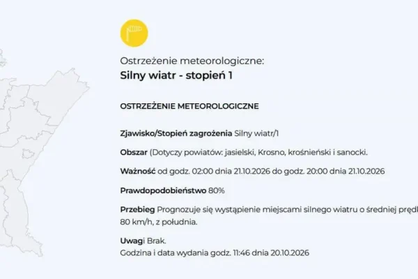 Silny wiatr nad Podkarpaciem – ostrzeżenie IMGW do godz. 20:00