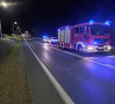 Kołaczyce: ciężarówka zderzyła się z dziką zwierzyną, uszkodzony też samochód osobowy