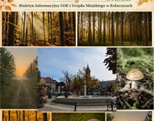 Nowy numer „Wieści Kołaczyckich” już dostępny – sprawdź, co przygotowano dla mieszkańców